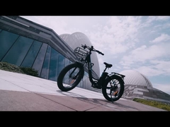 bicicleta eléctrica ridstar para hombre